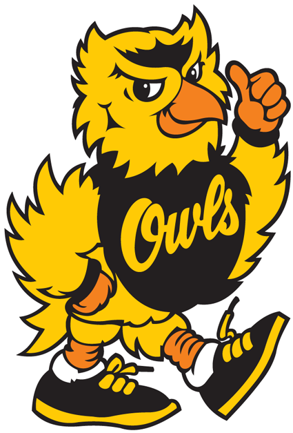 Kennesaw State Owls 1992-2011 Mascot Logo t shirts iron on transfers